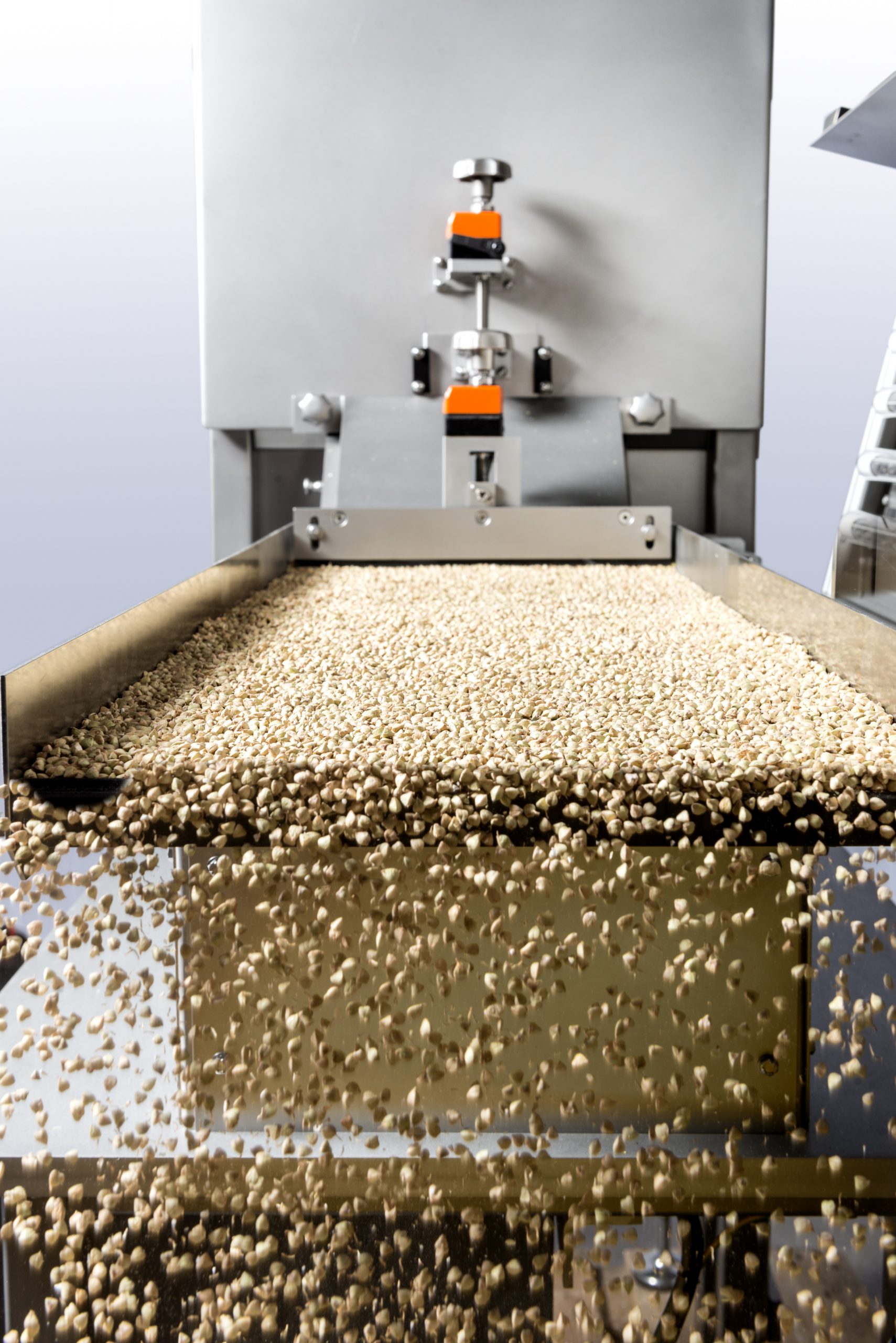 Naiopur grains falling of transport plate